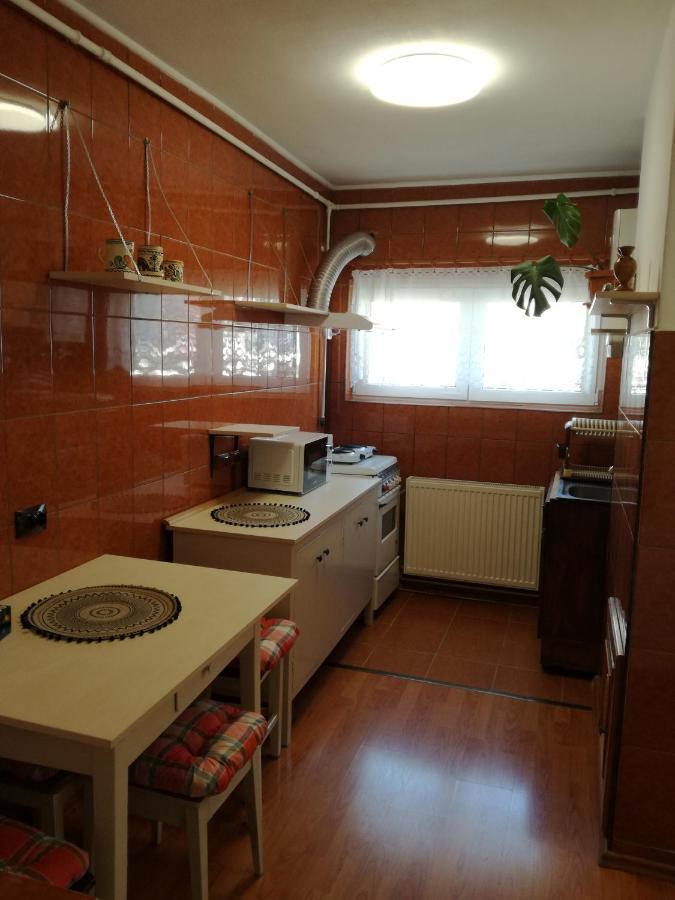 Sara Apartman Târgu-Mureş Exterior foto